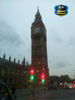 Buzzy Likes London